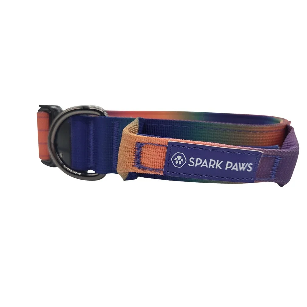 Spark Paws Comfort Control Dog Collar Small (14-19